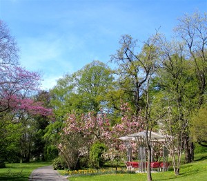 botanischergarten